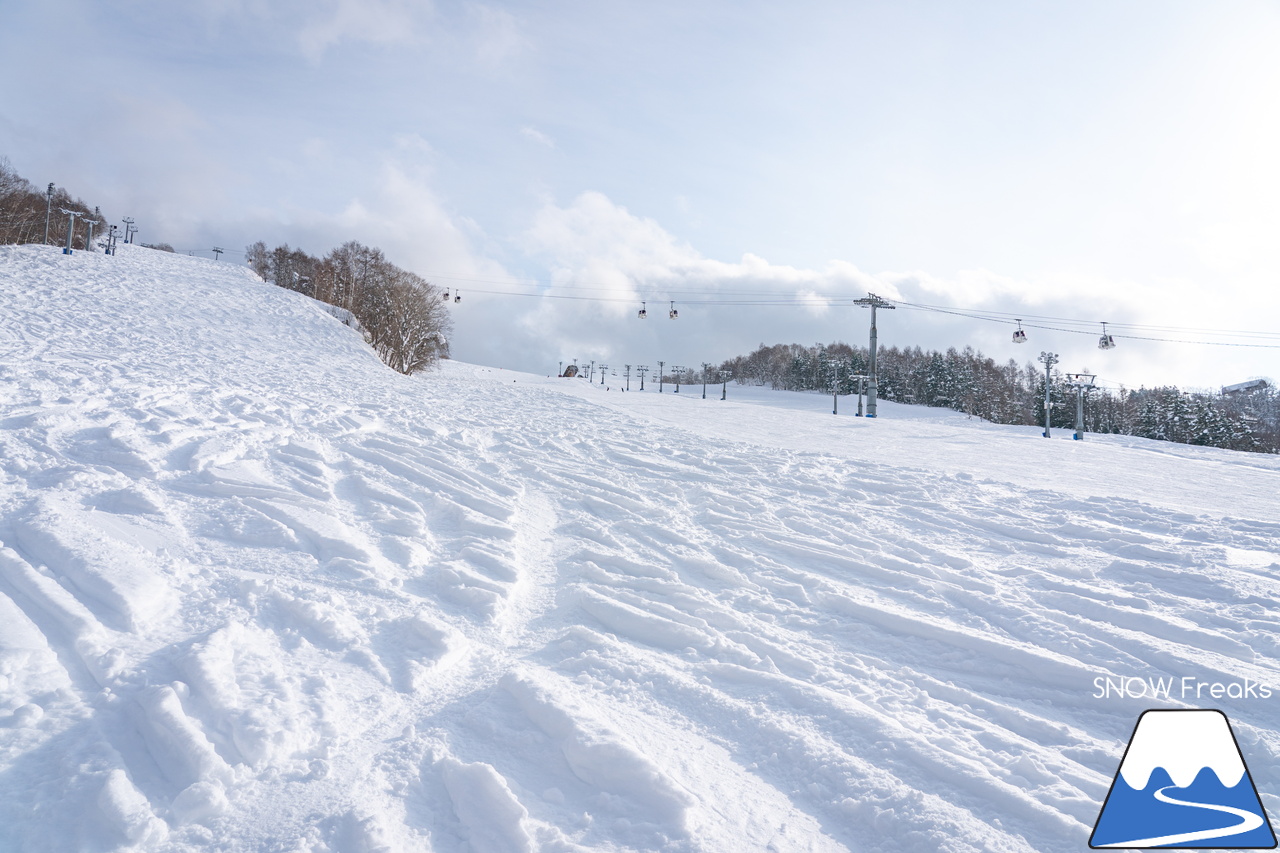 マウントレースイ｜お正月の記録的な大雪でゲレンデのコンディションはバッチリ！凸凹の未圧雪エリアを楽しみましょう♪
